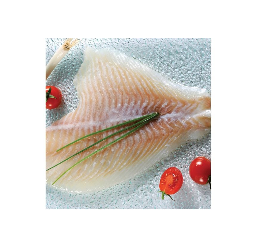 Filet de turbot sauvage sans peau
