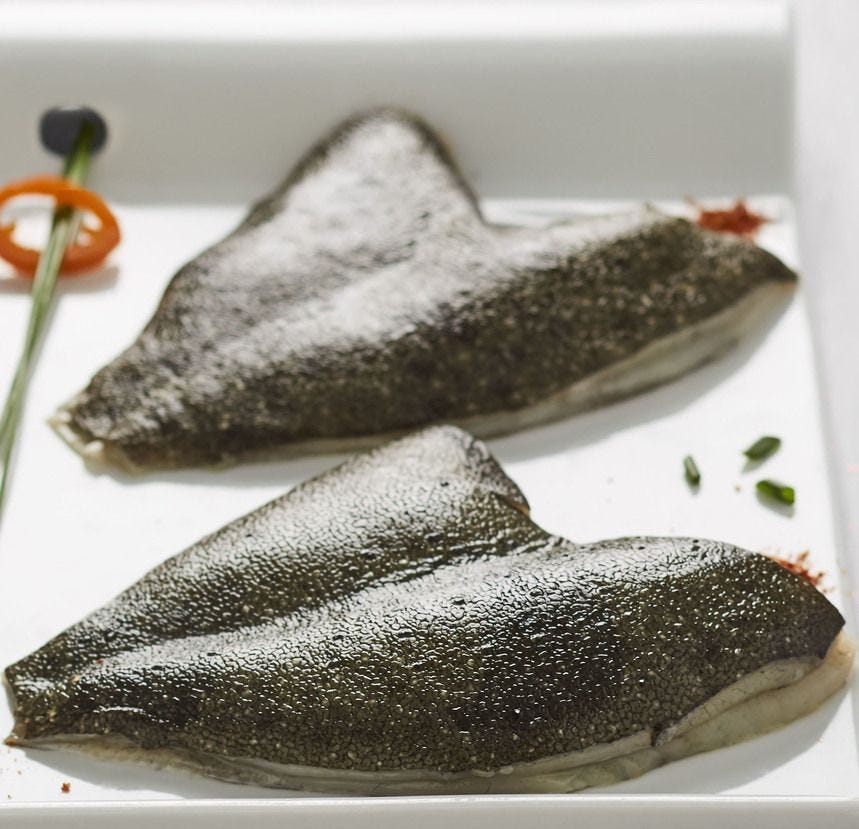 Double filet de turbot sauvage avec peau 