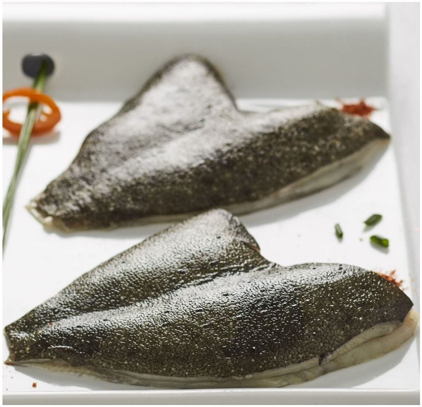Double filet de turbot sauvage avec peau