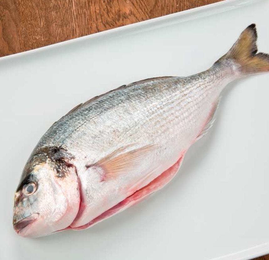 Dorade royale entière