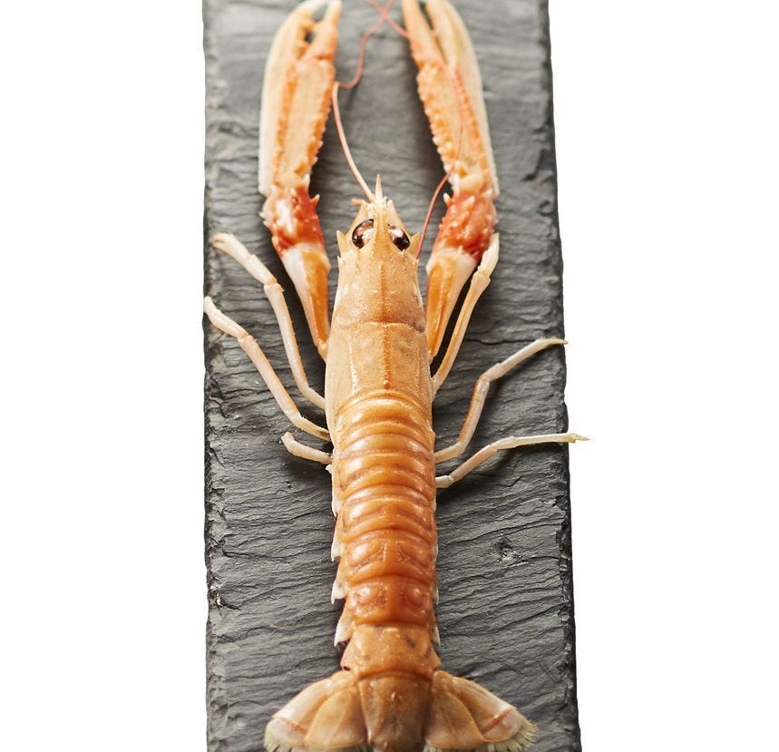 Langoustine entière 