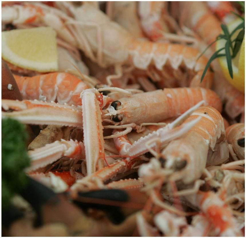 Tête et patte de langoustine