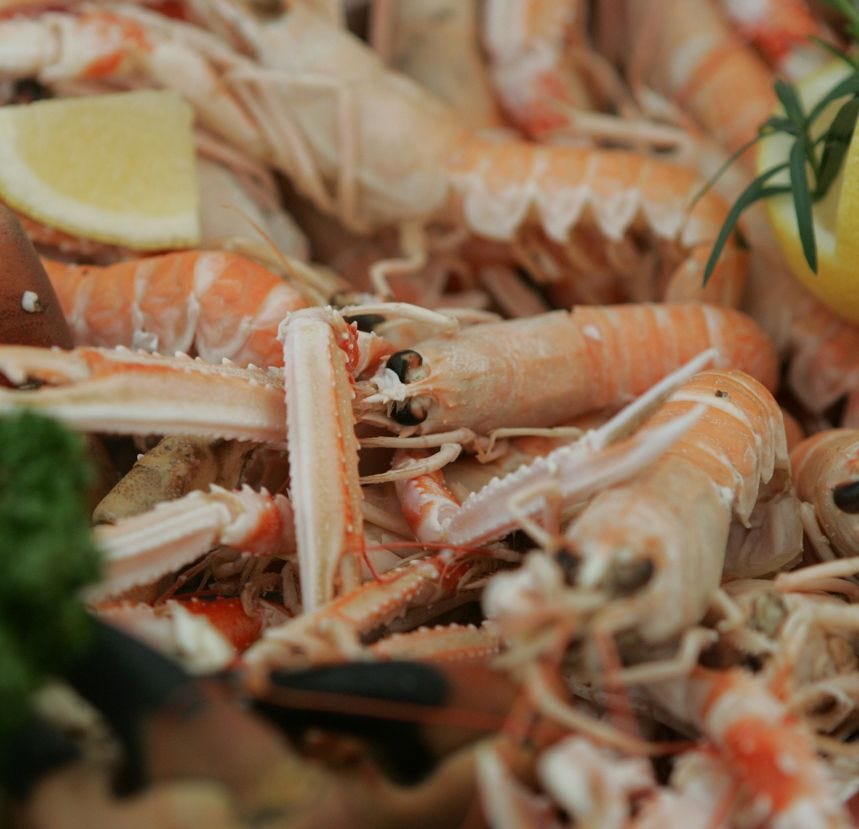 Tête et patte de langoustine 