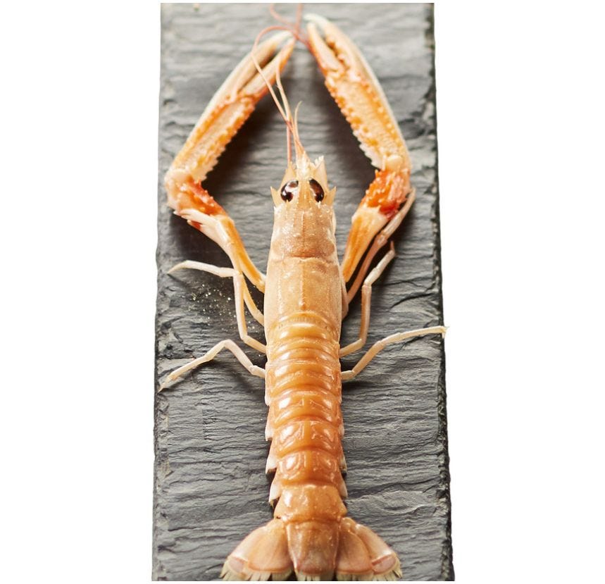 Langoustine entière
