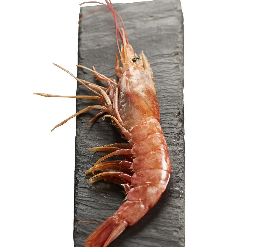 Crevette sauvage entière