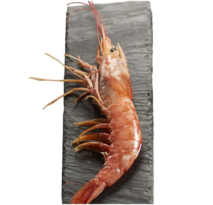 Crevette sauvage entière