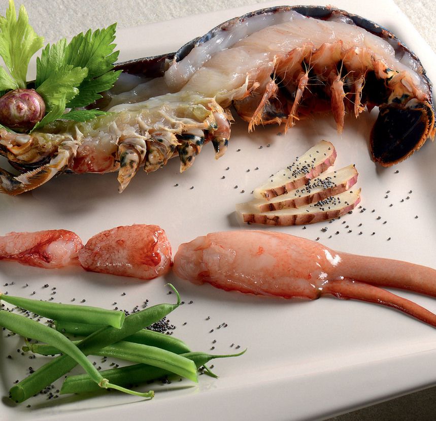 Demi-homard européen bleu avec pince décortiquée 