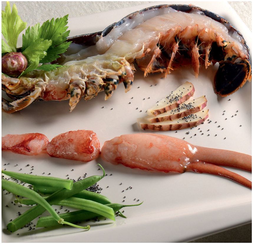 Demi-homard européen bleu avec pince décortiquée