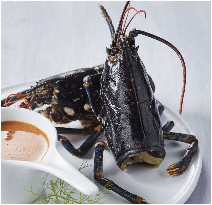 Tête de homard Européen