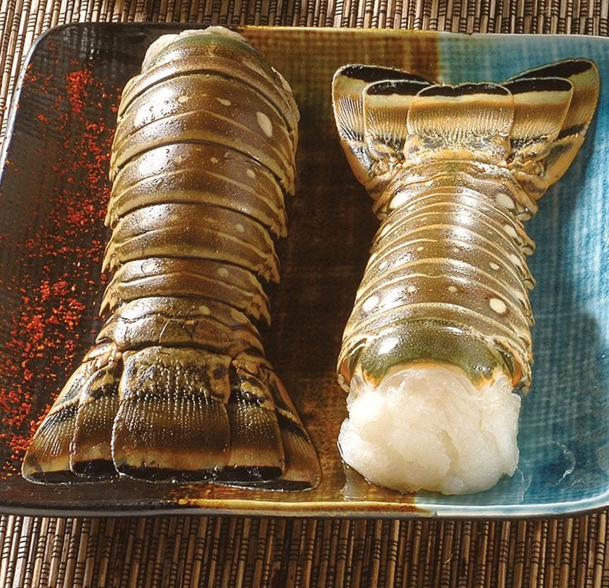 Queue de langouste blanche