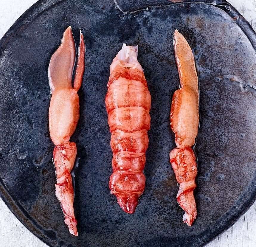 Queue et pince de homard européen décortiquées