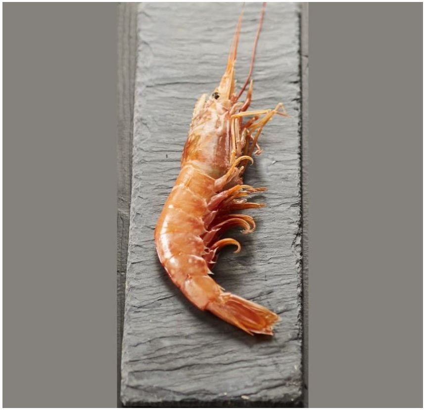 Crevette sauvage entière