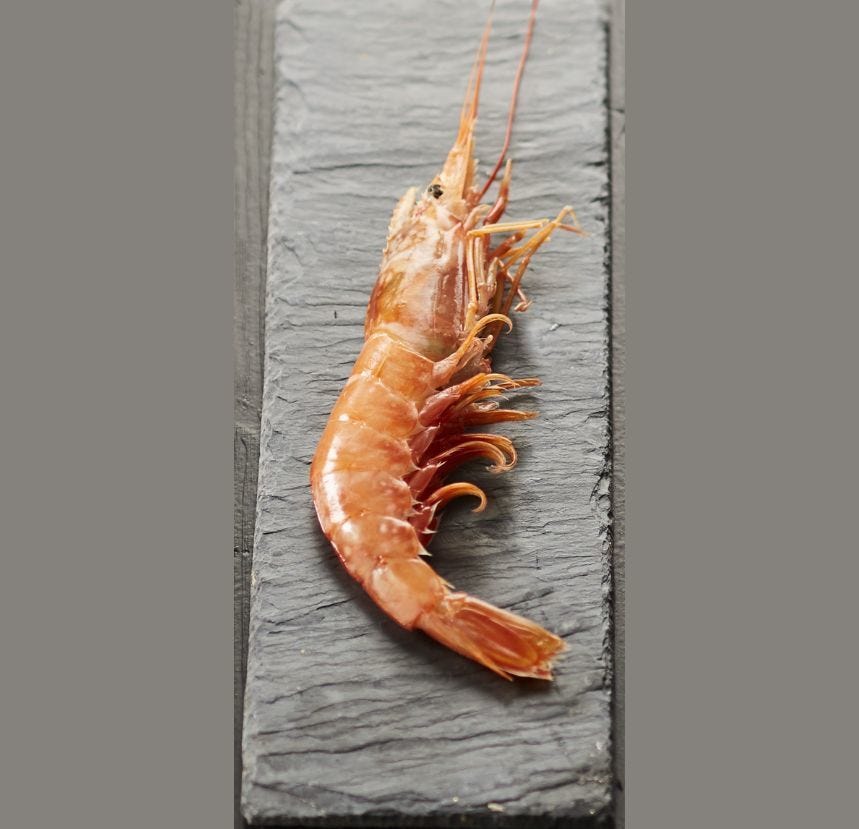 Crevette sauvage entière