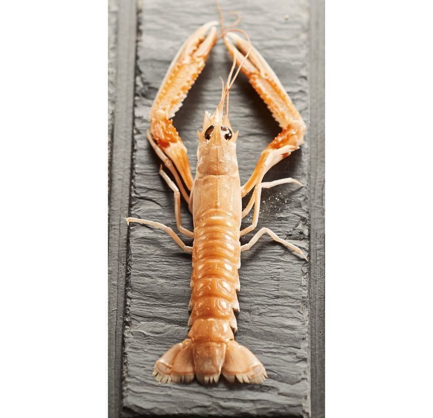 Langoustine entière 
