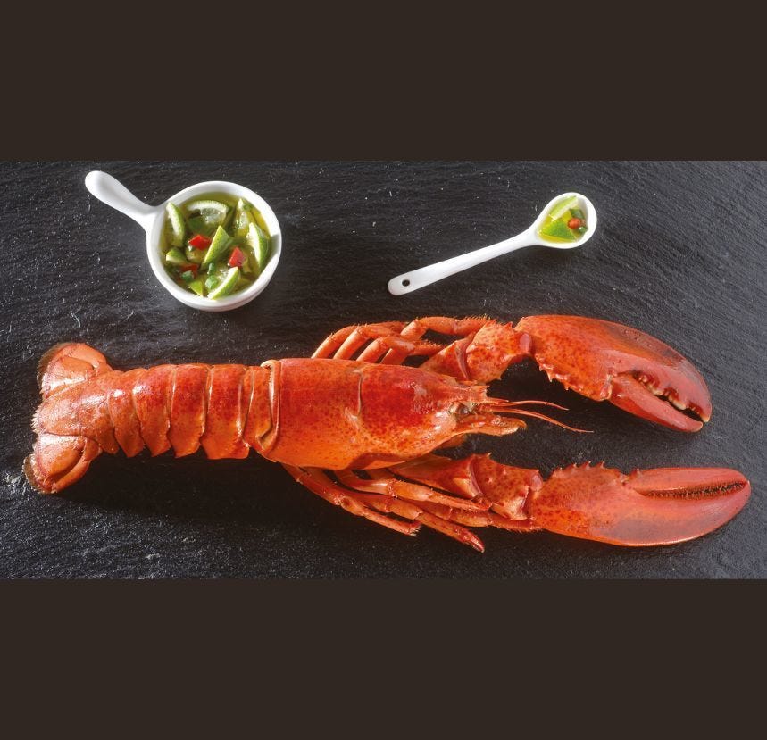 Homard canadien entier MSC