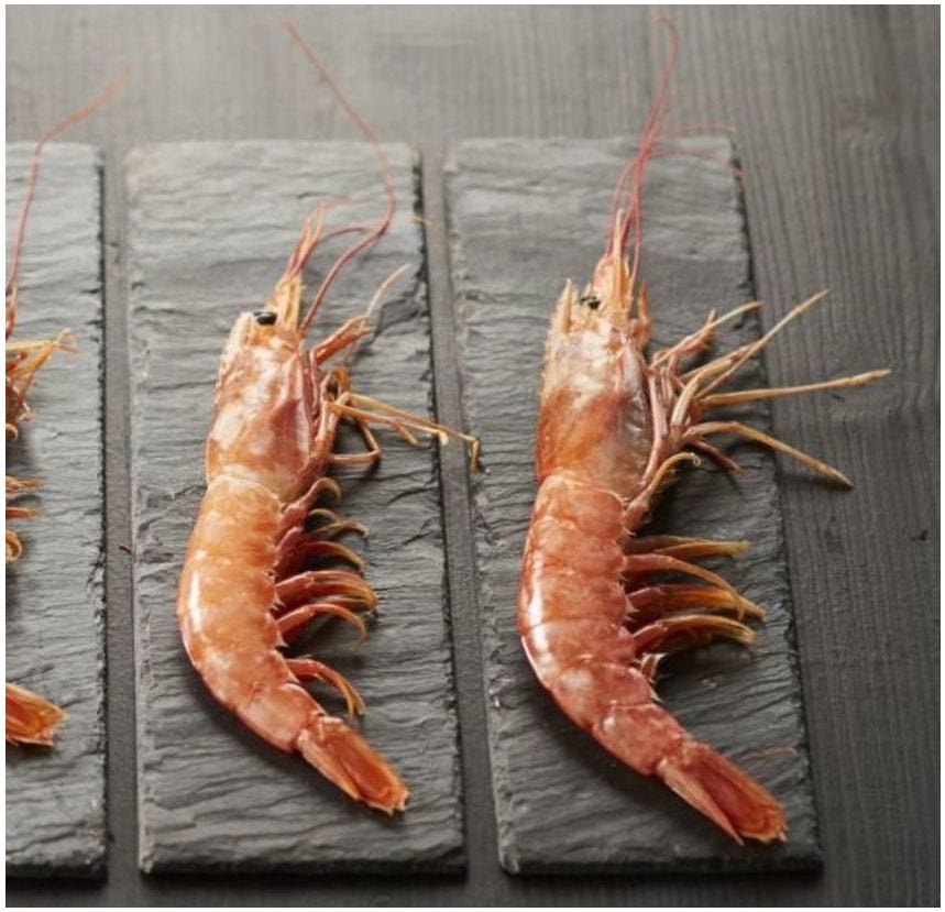 Crevette sauvage entière surgelée mer