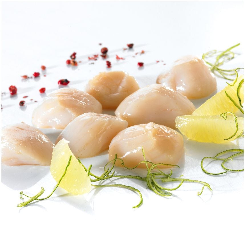 Noix de Saint Jacques sans corail