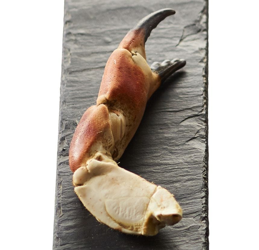 Pince de tourteau 