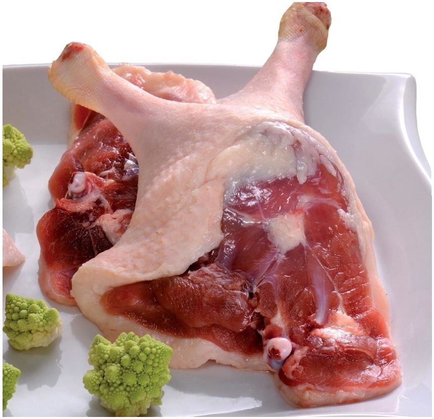 Cuisse de canette de Barbarie