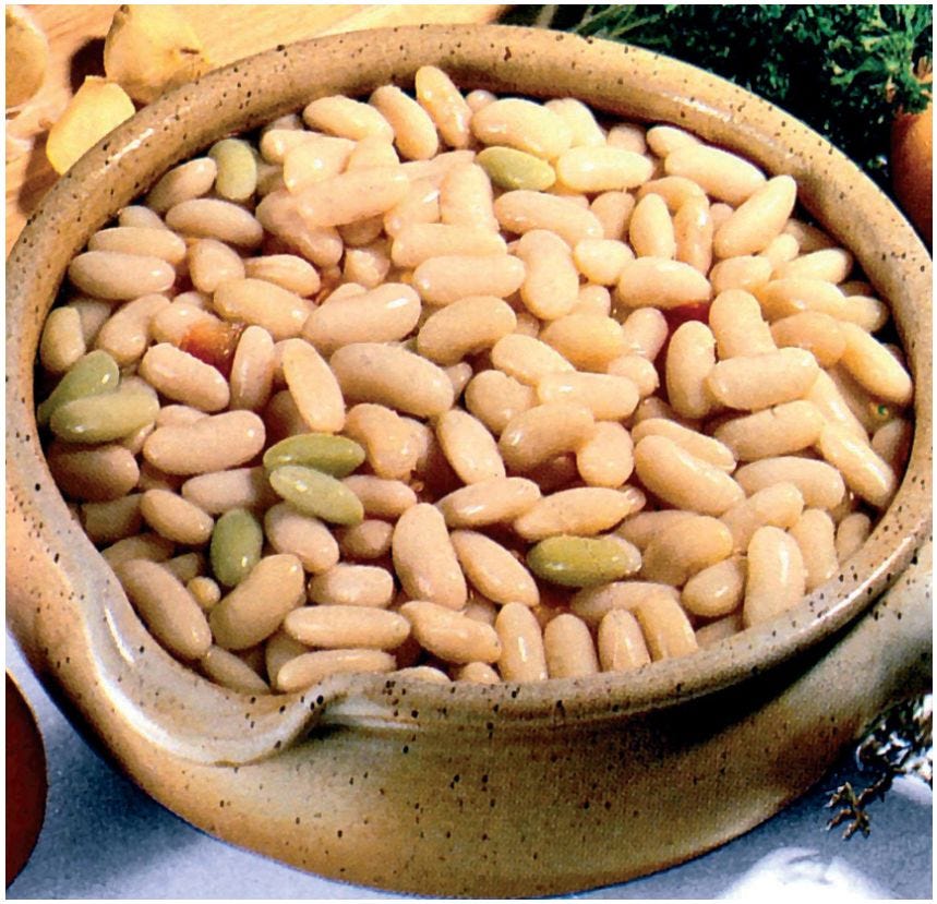 Haricot blanc demi-sec mojette