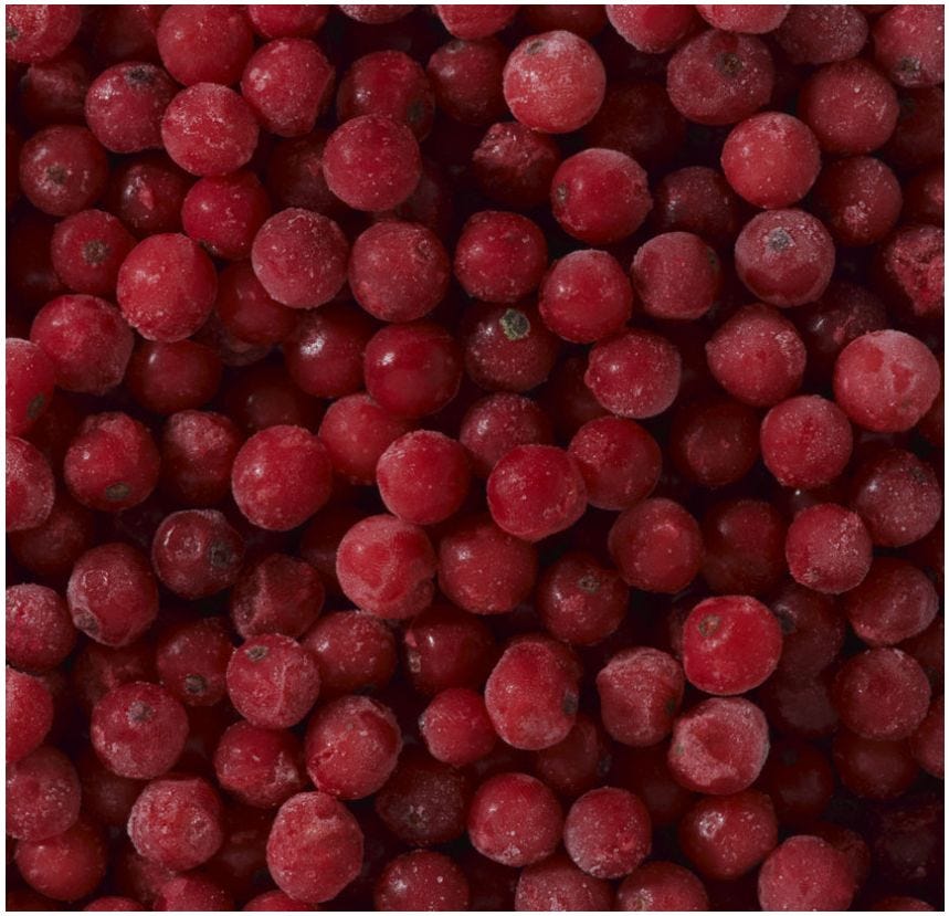 Grappe de groseille rouge