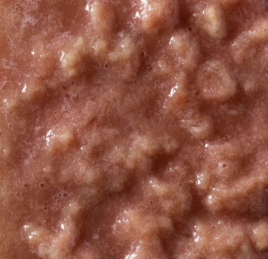 Purée de rhubarbe 