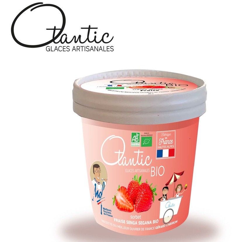 Pot de sorbet fraise Bio