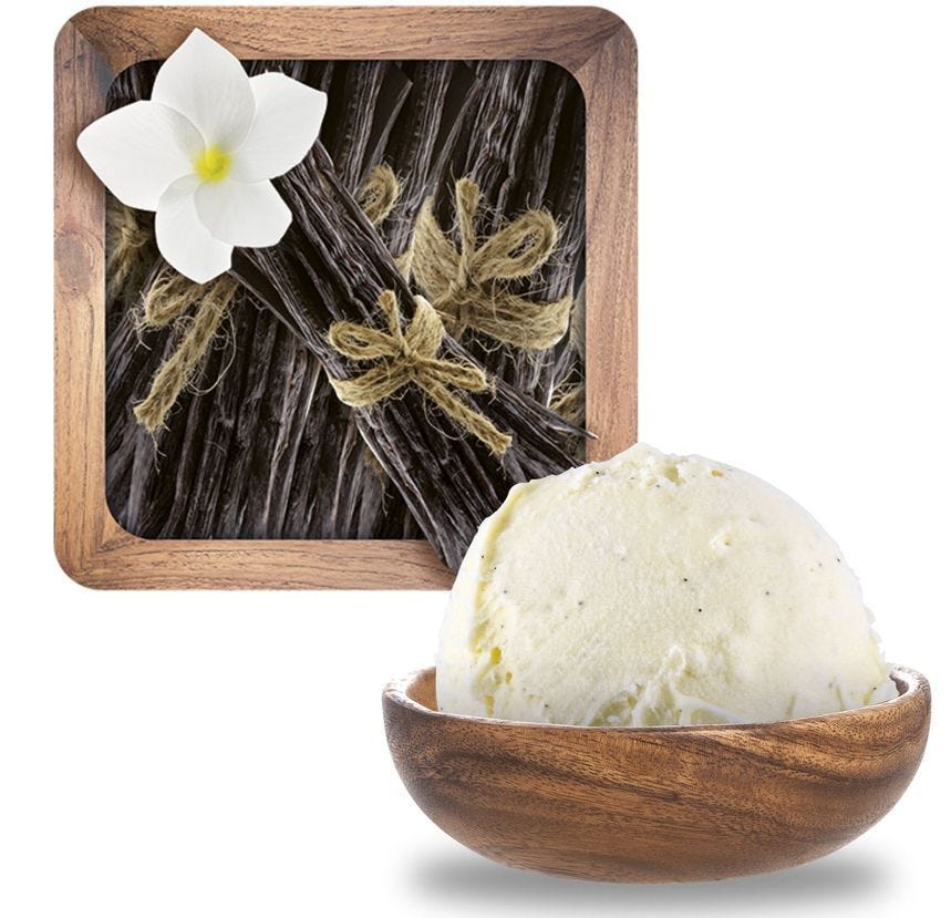 Glace maître artisan vanille