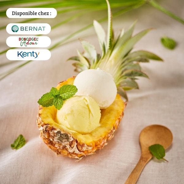 Grossiste glace : 100% fabrication française | Atlanterra
